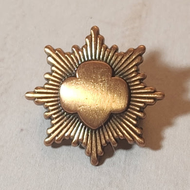 Bronze Award Pin - Current