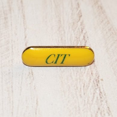 Counselor In Training Pin