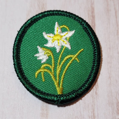 Troop Crest - Star of Bethlehem