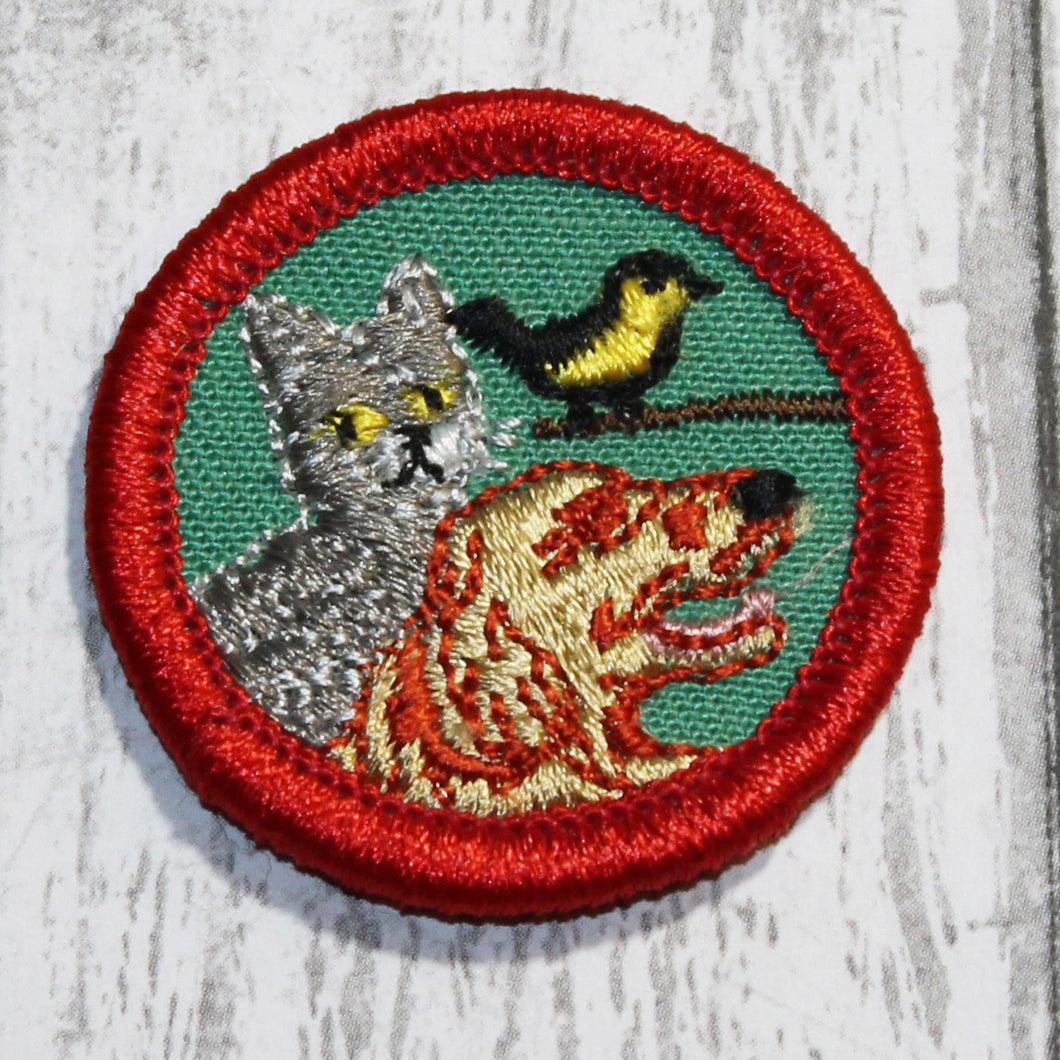 Pet Care (Red Border)
