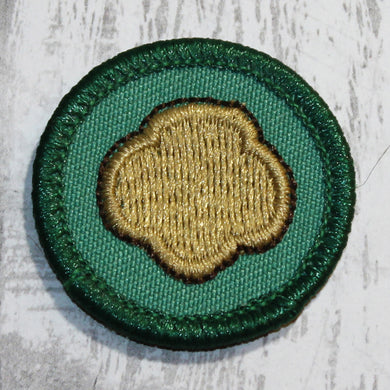 The Cookie Connection (Green Border)